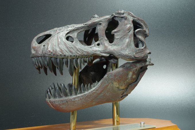 ティラノサウルスのtwitterイラスト検索結果 古い順