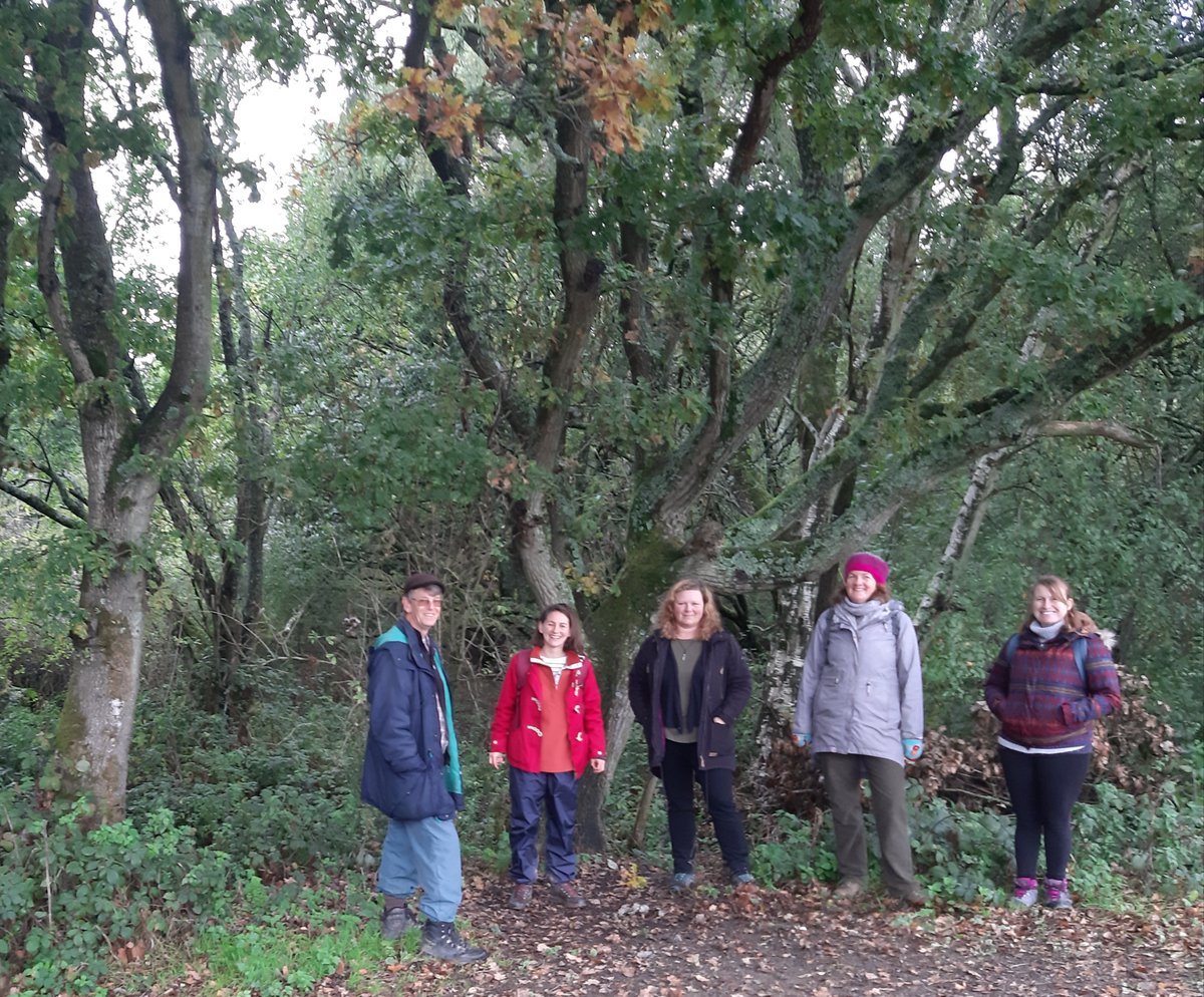RuralSussex's tweet photo. Do you love your local woods? Have you been out walking more during lockdown?
Please get in touch with our Village Agents (Alex, Steve, Jessie, Fran, Karen) to tell us what you love about your local woods.
Email us: villageagents@ruralsussex.org.uk https://t.co/1Z3ipI23vO
