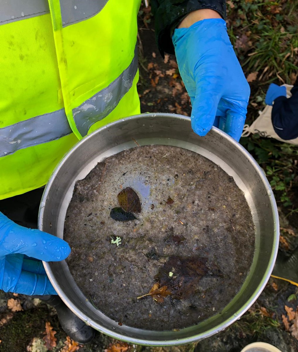 Florence Parker-Jurd (@parkerjurd) on Twitter photo Fantastic (very soggy) two days for our first round of #micro sampling across the Tamar catchment for project <a href="/Plastic_EU/">Preventing Plastic Pollution</a> with <a href="/WestcountryRT/">Westcountry Rivers Trust</a> Fantastic (very soggy) two days for our first round of #micro sampling across the Tamar catchment for project <a href="/Plastic_EU/">Preventing Plastic Pollution</a> with <a href="/WestcountryRT/">Westcountry Rivers Trust</a>