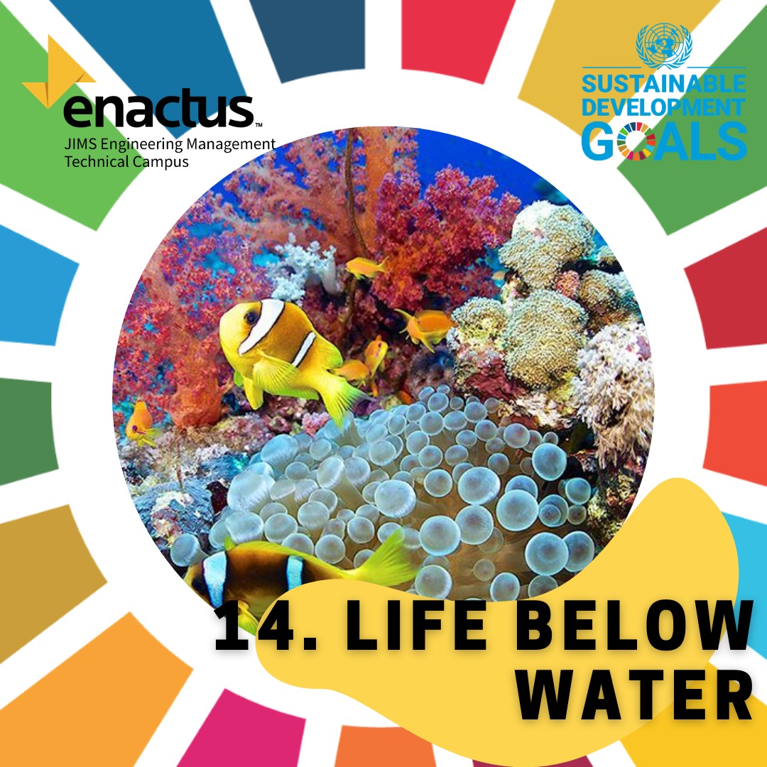 #SDG14
“Life Below Water.” We must protect marine life by eliminating pollution and overfishing and immediately start to responsibly manage and protect all marine life around the world.
#SDGs #UN75 #UNinIndia  #EnactusIndia #MarineLifematters #lifebelowwater #coastalecosystem