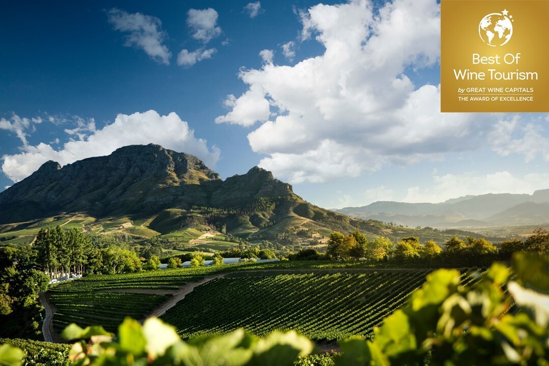 PRESS RELEASE 🗞️| Best Of Wine Tourism Awards 2021 - Winners announced! 🍷🏆

Meet the judges and winners here ➡️: bit.ly/3eonydK
 
Read the full press release here➡️: bit.ly/3kXlMmo

#BestOfWineTourismAwards2021 #CapeConfidence #WesternCapeToday #NowhereBetter
