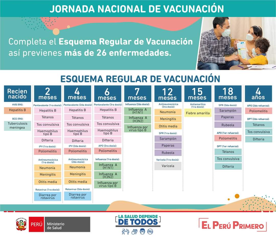 Minsa_Peru's tweet photo. Este 7 y 8 de noviembre se realizará la Jornada Nacional de Vacunación. Identifica las vacunas pendientes de tu niño o niña y acude al punto de vacunación más cercano. #AmaConfíaYProtege

➡️ Conoce los puntos de vacunación en: https://t.co/YH9vJBp3pz https://t.co/4aCga3zhpz