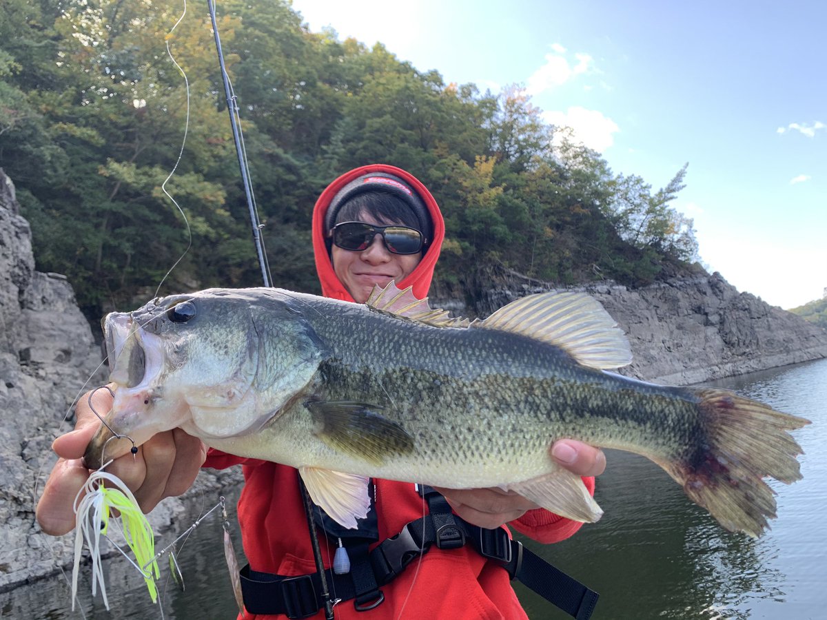 バスフイッシング