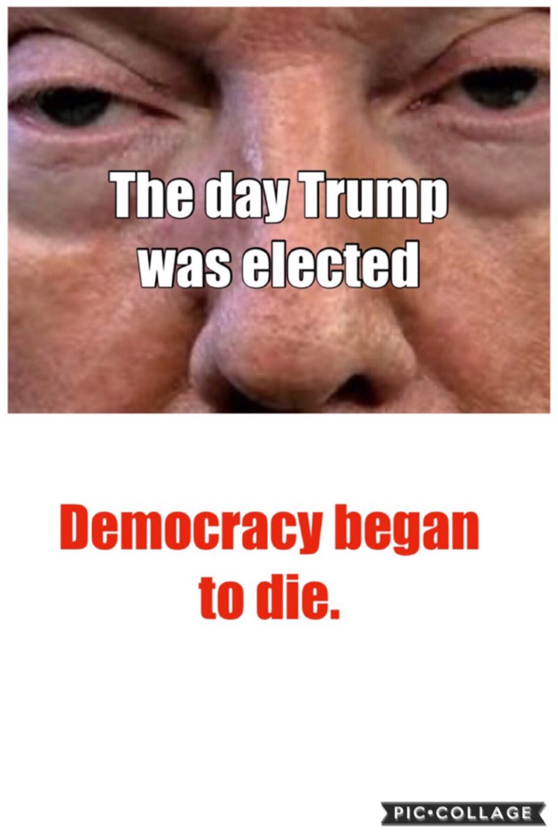 toad1940's tweet image. Despot Donnie destroyed our country.