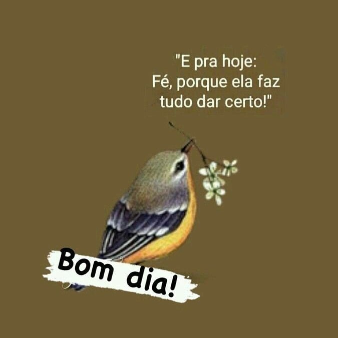 andressalopes09's tweet photo. Bom dia!!! : )
#agradecersempre https://t.co/dCNepfwXyf