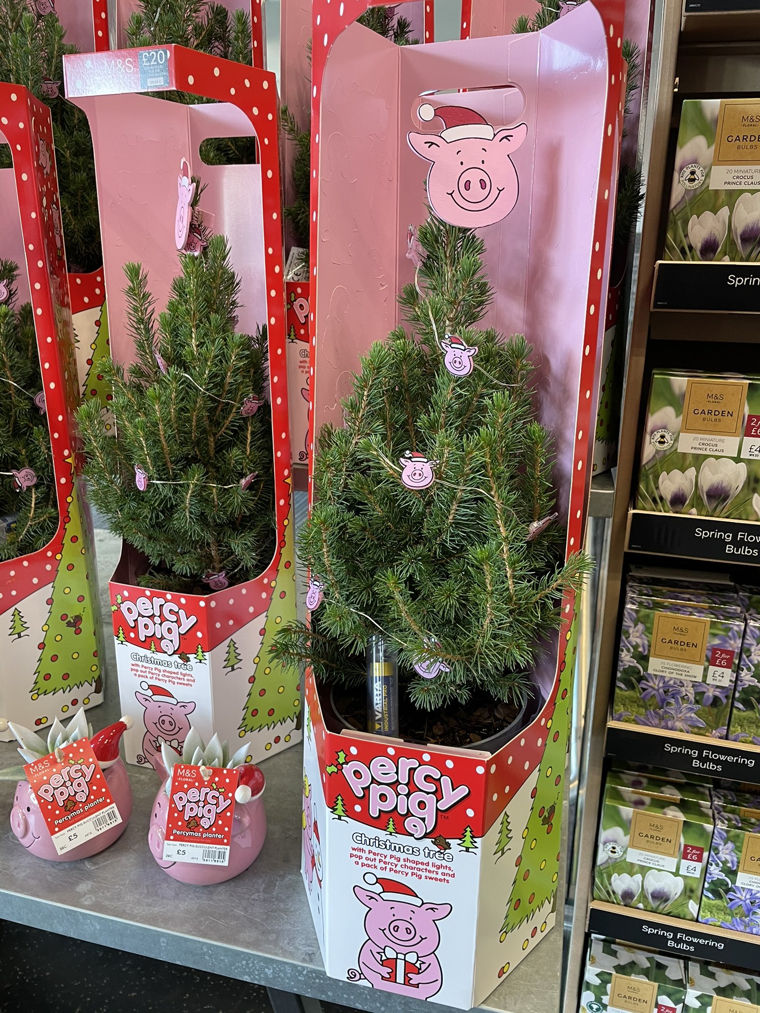 Well This Is New on Twitter "Percy Pig Christmas Tree! 🐷🎄 £20 At M&S