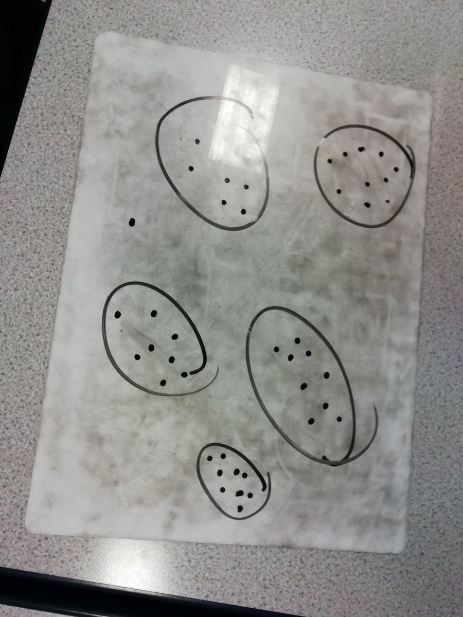 Rowlatts_TMET's tweet photo. In maths this morning, year 5 have been looking n a range of ways to represent division facts. #rmmmaths #creativity #mathsunderstanding https://t.co/NPAv95B8Vf