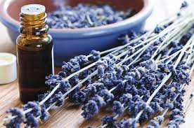 HHMU_Banksia's tweet photo. #PortablePeace in a bottle
#InstantCalm we find
#OneInhalation #OneDeepBreath
#JustOne #2CalmYourMind
#PerfectPeace that's portable
#PocketPeace #HelpsU #Unwind
#PanicAttacks consigned2bin
#Lavender4PeaceDesigned
#IDWP
#MentalHeathMatters https://t.co/gjeEYVYCSP