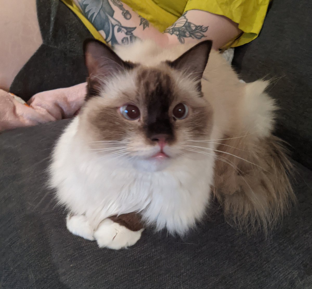 Bella🌈 tweet media