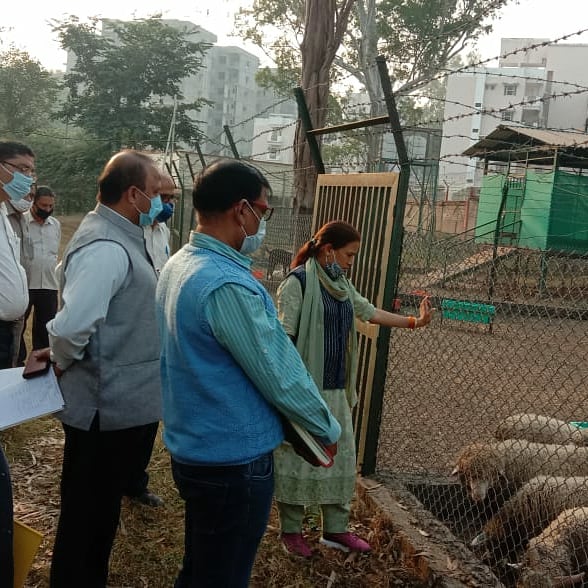 pashudhanUK's tweet image. Inspection of Wool lab and Sheep Goat Demonstration Unit, Pashulok by Honourable Minister Animal Husbandry Department, Smt. REKHA ARYA. 

#sheeprearing #sheepwool #sheepandgoat #woollab #AnimalHusbandry #pashudhan #PASHULOK #Uttarakhand
