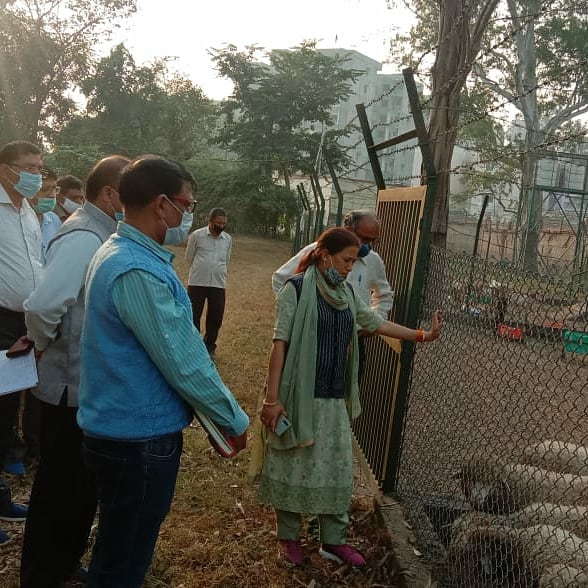 pashudhanUK's tweet image. Inspection of Wool lab and Sheep Goat Demonstration Unit, Pashulok by Honourable Minister Animal Husbandry Department, Smt. REKHA ARYA. 

#sheeprearing #sheepwool #sheepandgoat #woollab #AnimalHusbandry #pashudhan #PASHULOK #Uttarakhand