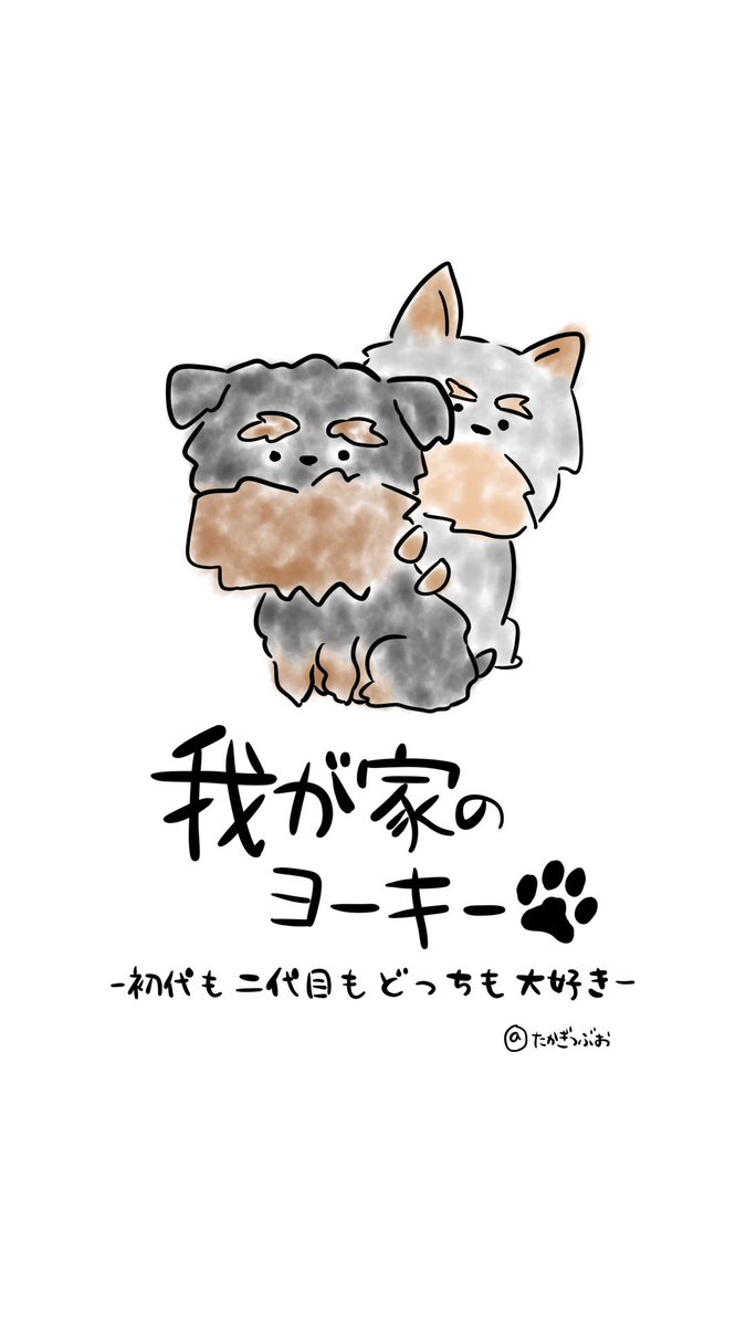 たかぎつぶお 我が家のヨーキー 第7話 特殊な能力をご紹介 漫画が読めるハッシュタグ ヨークシャーテリア イラスト マンガ 我が家のヨーキー たかぎつぶお 我が家のヨーキー 第7話 特殊な能力をご紹介 漫画が読めるハッシュタグ ヨークシャーテリア イラスト マンガ 我が家のヨーキー