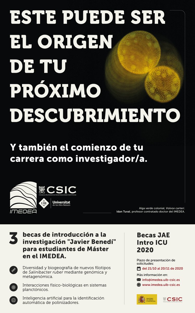 IMEDEA_UIB_CSIC's tweet photo. ¿Quieres trabajar con nosotros? ¿Conoces nuestras #becas de inicio a la investigación para titulados superiores en memoria del Dr. Javier Benedí Benito? Se admiten solicitudes hasta el 20 de noviembre. ¿A qué estás esperando? 😉 https://t.co/4TgmpAkUyk #JAEintro #JAEintro2020 https://t.co/mxaUM2CjWQ