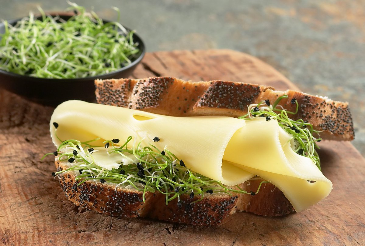 Say Cheese 😃 #NationalSandwichDay #photoshoot