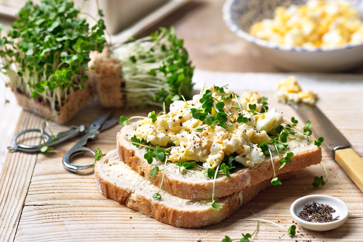 Don't forget the #cress #NationalSandwichDay #foodstyling #recipes #photography