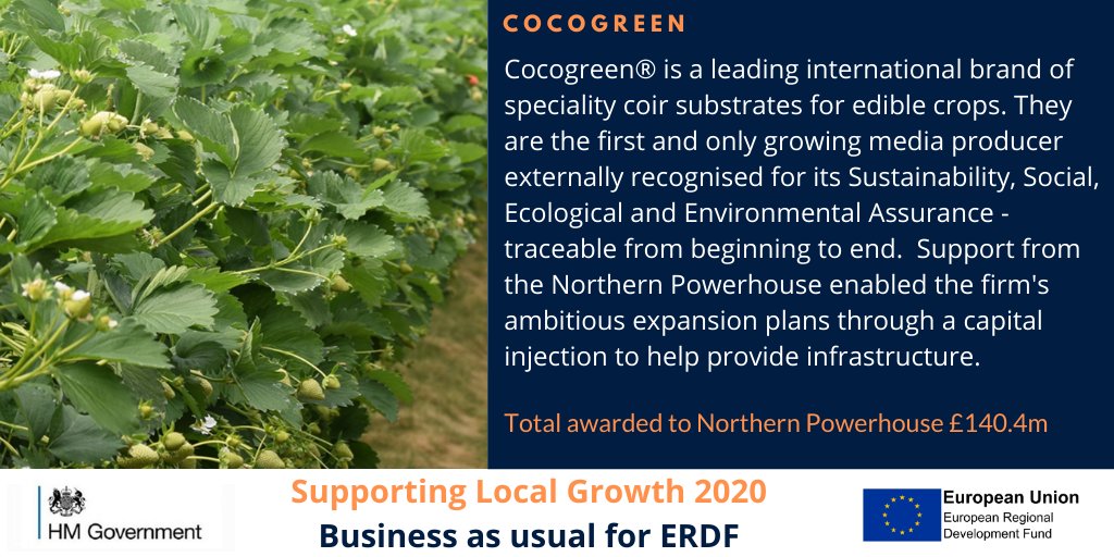 Today we are highlighting #ERDF projects that have continued to grow in difficult circumstances like Cocogreen following investment from the Northern Powerhouse.  See lots more projects that have benefitted here bit.ly/38hGZnk 
#growthprogramme <a href="/northernPOW/">Northern Powerhouse</a> <a href="/northeastLEP/">North East LEP</a>