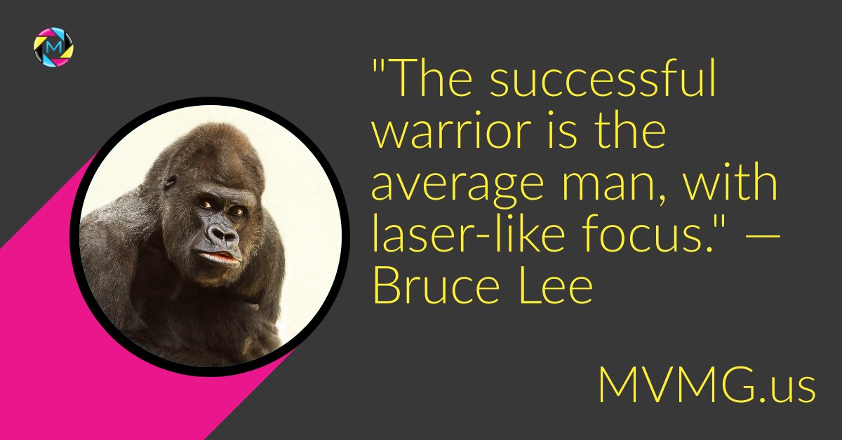 TeamMultiverse's tweet photo. Love Bruce here at Multiverse Media Group [nose wipe] what about you? Agree with this quote?

#wednesdaywisdom #brucelee #anotherquote #businesstips #gorillamarketing #businesswebsite #corporatewebsitedesign #startuplife #teammultiverse #mvmg #believeinyourself #franchiselife https://t.co/pX1fY07574