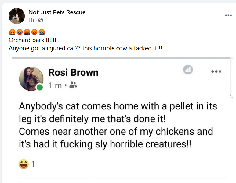 #AnimalDefenders We seem to have a woman who clearly enjoys shooting cats and enjoys posting about it on fb.Lets give her the publicity she so desperately craves.#OrchardPark #Hull