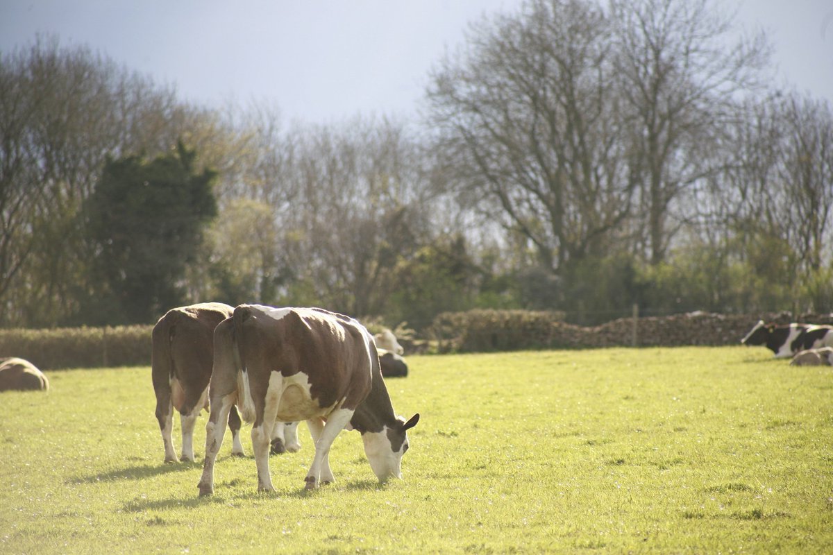 The next <a href="/FarmersWeekly/">Farmers Weekly</a> #BusinessClinic is here. This month we look at if a couple can regain possession of inherited land. Read the article here: hubs.ly/H0zdJpk0