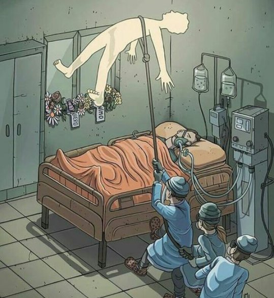 Ecoprácticas tweet media