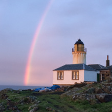 SteelySeabirder tweet picture
