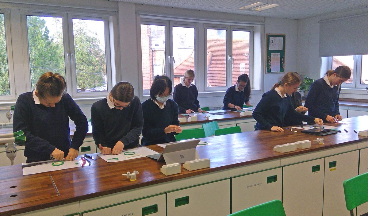 QASCaversham's tweet photo. 🌱 Our #QASLowerFive students have been making root, stem and leaf structure models in their recent #QASBiology lessons! 🌱 @QAS_STEM #QASScience #QASSTEM #GirlsInSTEM #WomenInSTEM #Biology https://t.co/9d8pKGocEp