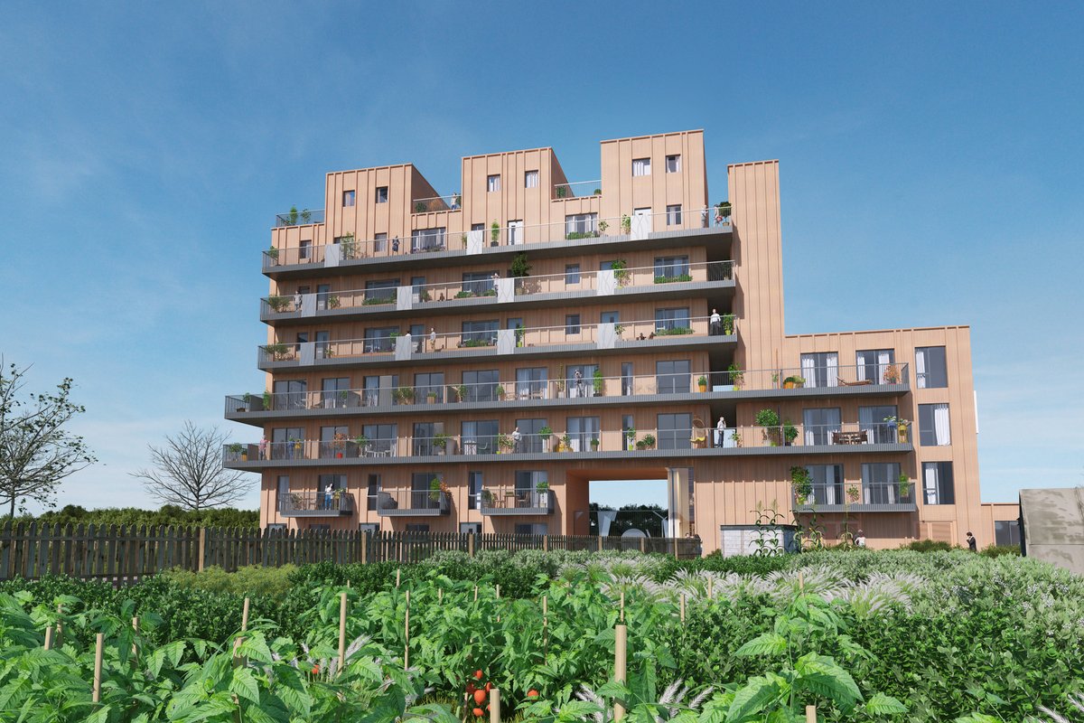Stephen Davy Peter Smith Architects tweet media
