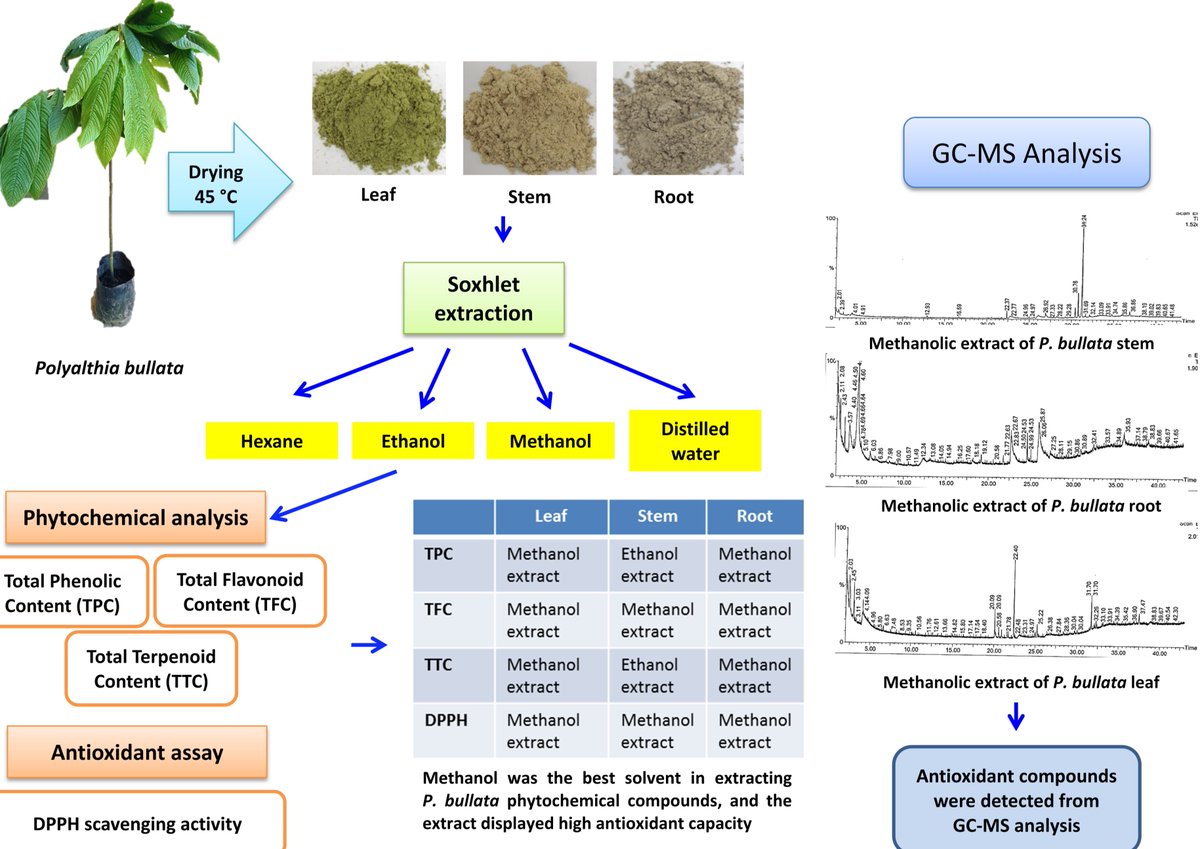 BioResJournal's tweet photo. #Solventextraction and its effect on #phytochemical yield and #antioxidantcapacity of woody #medicinalplant, Polyalthia bullata.
https://t.co/8Vc1Ax3gk8
#BioResJournal #solvents #woodyplants https://t.co/JZeFzVp1FU