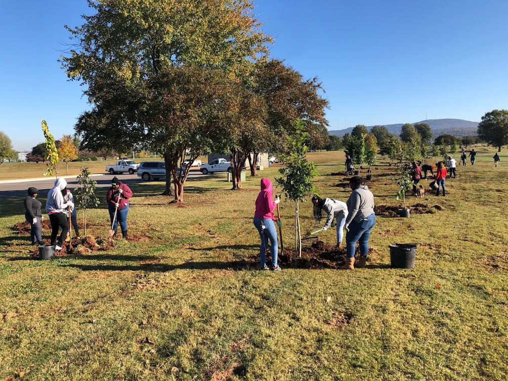 This SATURDAY! Everyone is invited to plant a tree at the Mayor's Tree Planting Day at John Hunt Park from 8am-12pm.  
Plus, take home a seedling tree home to plant too! 
huntsvilleal.gov/mayor-battles-…