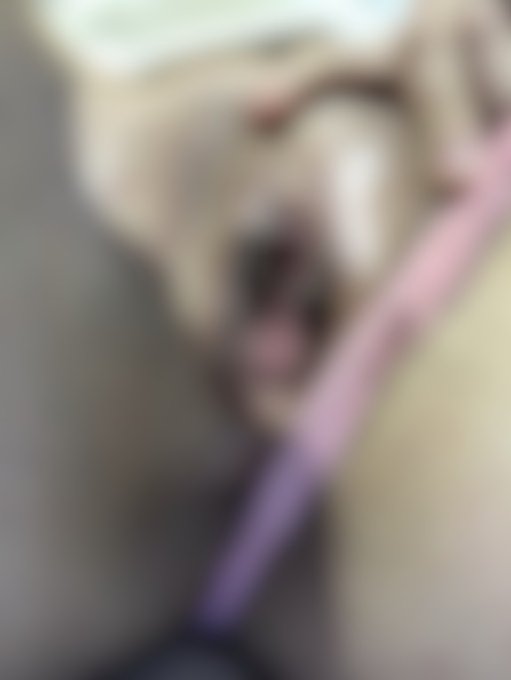 I just uploaded a Fan-only exclusive photo to Modelhub. Wanna see what you're missing? https://t.co/dBraXNzpwY