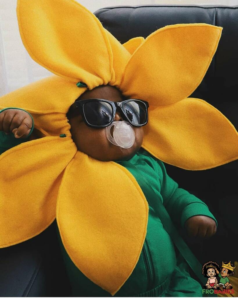 Frobabies's tweet photo. 🌻 You are my sunshine
My only sunshine
You make me happy when skies are grey 😎☀️@nikshadavis 
.
.
.
.
.
.
.
#freshprince #sunflower #sunglasses #blackbabies #halloweencostume #frobabies #halloween #froween #halloween2020 https://t.co/etZTy6JymW 🌻 You are my sunshine
My only… https://t.co/t8m2oGJizD