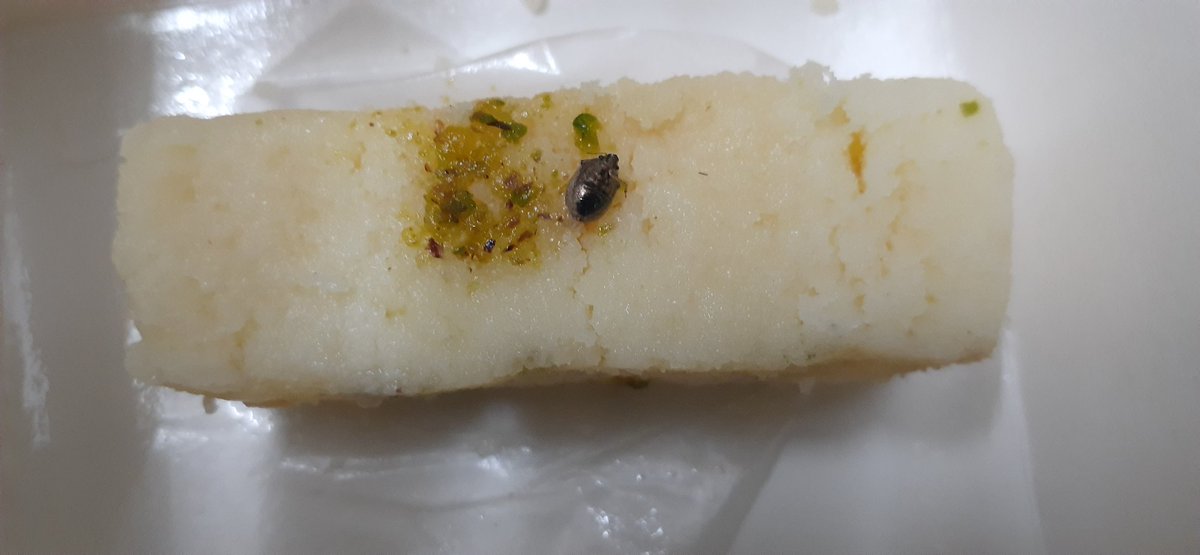 Socialprani's tweet photo. @ZomatoIN   @HaldiramSnacks  order No 1785611090  , order reached at destination more than 2 hour late,till than food was not eatable also sweets were contaminated,also very disappointed  by the customer support service. https://t.co/RRBr8pJNM7