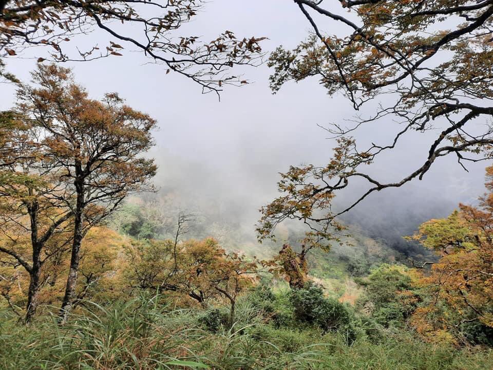IBelizeit's tweet photo. I went hiking a few days ago to the mountains.
#Taipingmountains in #YilanCounty, #Taiwan.
#HikeTaiwan https://t.co/MmqsCHhKqm
