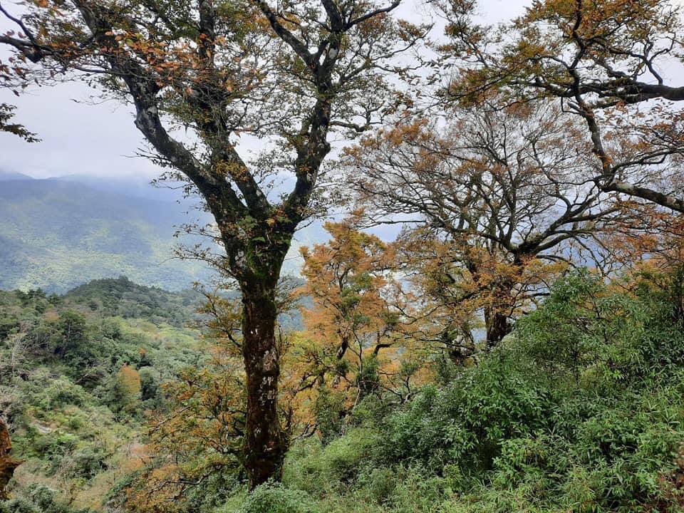 IBelizeit's tweet photo. I went hiking a few days ago to the mountains.
#Taipingmountains in #YilanCounty, #Taiwan.
#HikeTaiwan https://t.co/MmqsCHhKqm