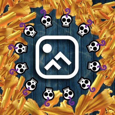 FunCancunCenter's tweet image. #NuevaFotoDePerfil