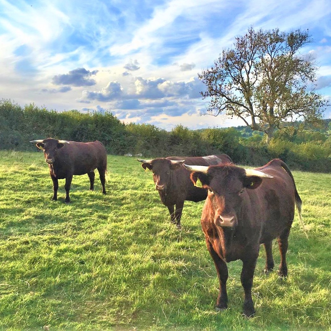 Thread  8 reasons why MPs should support the main food and farming trade standards amendment 16B in the  #AgricultureBill when it returns to the House of Commons  #SaveOurStandards 1/12