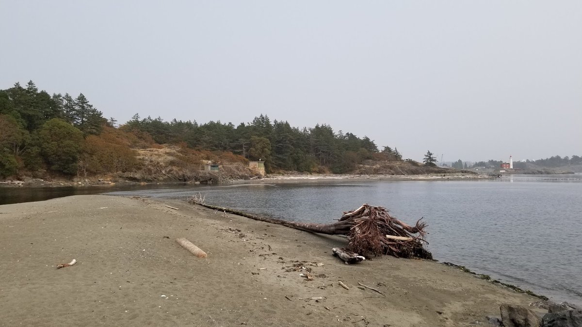 ThisIsPlanetRth's tweet photo. Beaches come, and beaches go - but why?
Waves, tide, and wind dominate coastal landforms such as beaches. Rivers deposit the sediment which then gets moved and shaped. 😎🏖️🌊
#beaches #explore #geology #earthcache #geocaching #ThisPlanetEarth #planetearth #rocks #earthscience https://t.co/PAJgpmEaDE