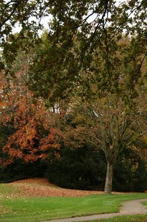 Onze Buitenruimte tweet media