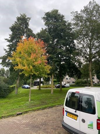 Onze Buitenruimte tweet media