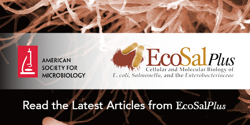 ASMicrobiology's tweet photo. E. coli is one of the most studied bacteria, but knowledge gaps, regarding its ecology and natural history, remain. Read a new review from #EcoSalPlus on recent discoveries and remaining gaps in knowledge pertaining to gut E. coli. https://t.co/7LqAutqrDM https://t.co/AlsJJHx4nt