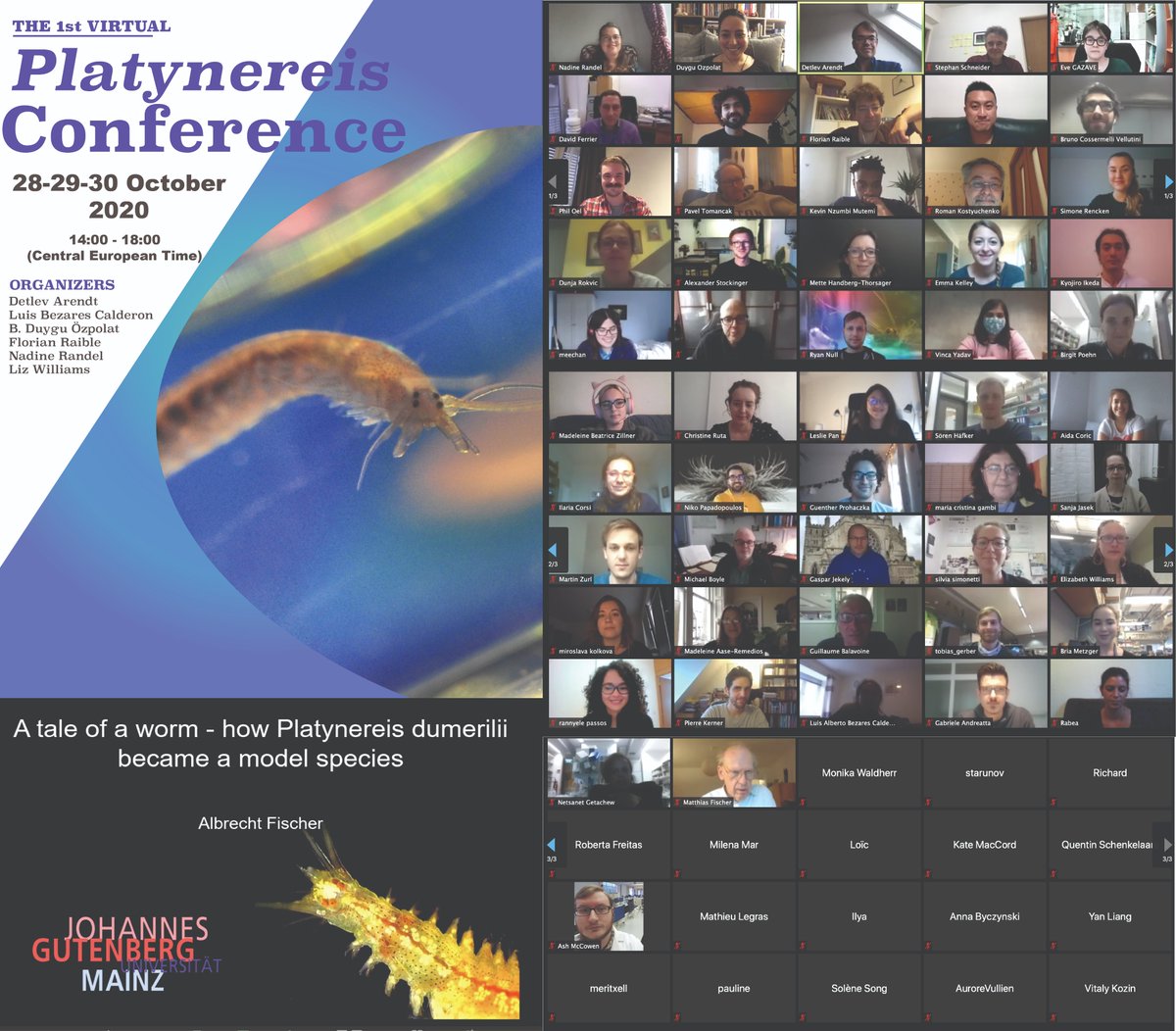 Our 1st Platynereis meeting was a great success! It was so inspiring to see generations of scientists working on Platynereis, and all the amazing research areas and questions we are focusing on. This was the first of many meetings to come. #Platynereis