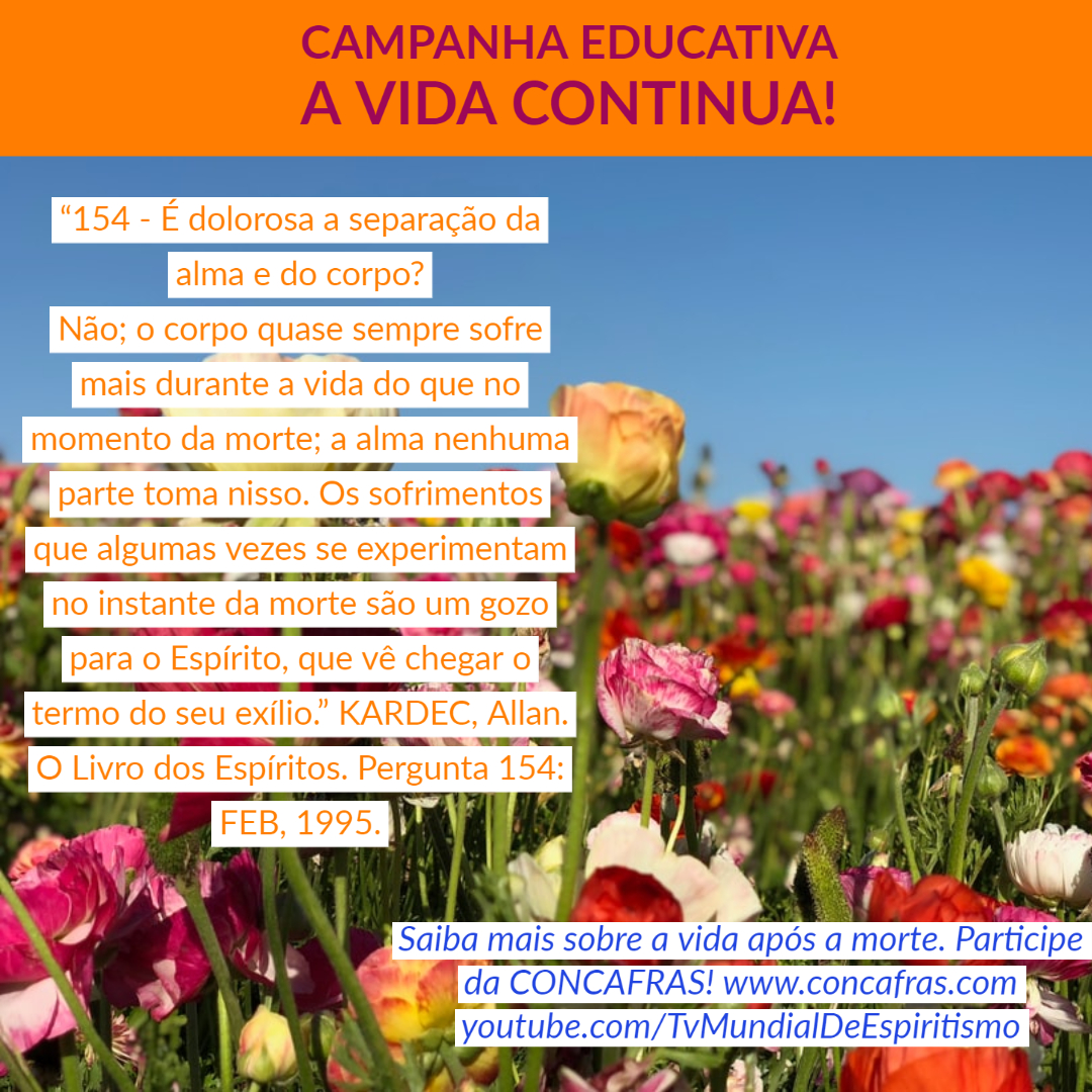 cepaonosso's tweet photo. #concafras #concafras2021 #tvmundialdeespiritismo #avidacontinua #havidaaposamorte #fazerobemfazbem
#espiritismo #allankardec #Deus https://t.co/3oPsLSSyRT