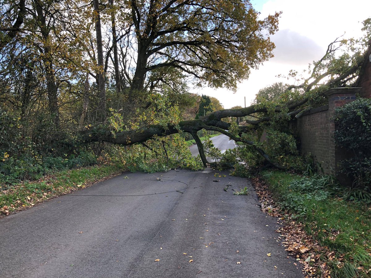#TitheBarnLane in #HockleyHeath is currently blocked near the Cut Throat Lane junction, due to a fallen tree.

(Image: Amy Hollingsworth).