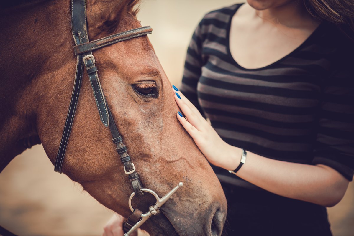 OneEquine's tweet photo. Less than 24 hrs to go until our Launch!
Join our Webinar 03.11.2020 @1 pm GMT  
https://t.co/Azu03RnQB5 https://t.co/7fyIdEVUNS