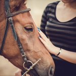 Photo by One Equine (@OneEquine)