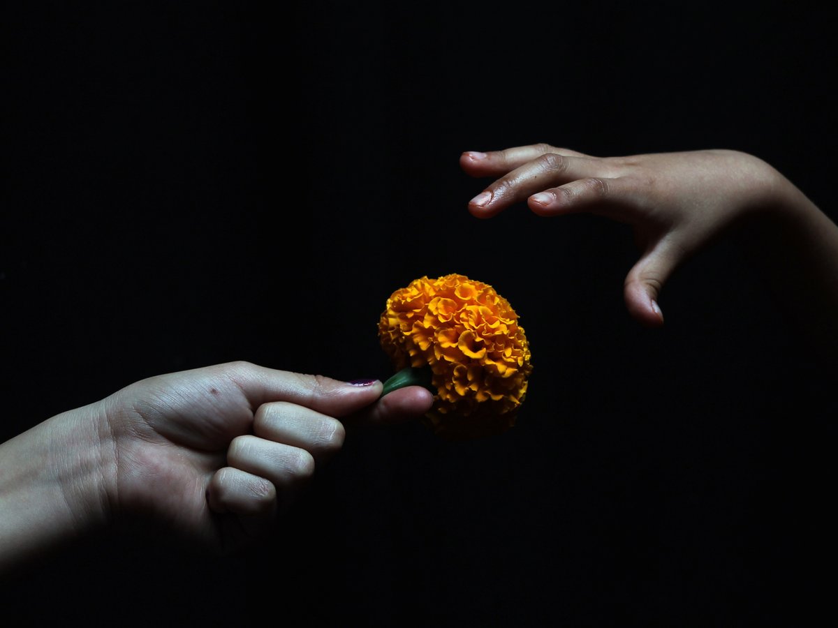 Il #cempasuchil  é il fiore del tradizionale #DiaDeMuertos in Messico. donnamoderna.com/senza-categori… Ph. Ricardo Castelan Cruz <a href="/DonnaModerna/">Donna Moderna</a>