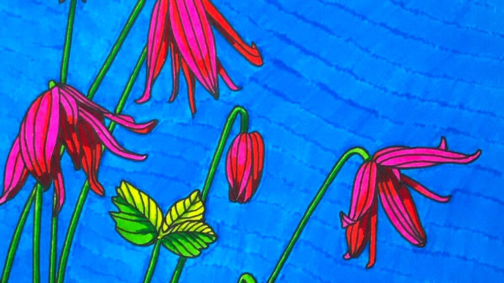 Thread: This Christmas give locally made gifts. This curated list reflects important Irish artists & craftspeople, whose works are unique, to celebrate the holiday season. In buying from these talented people you are helping keep Irish art & crafts alive. Give some magic!