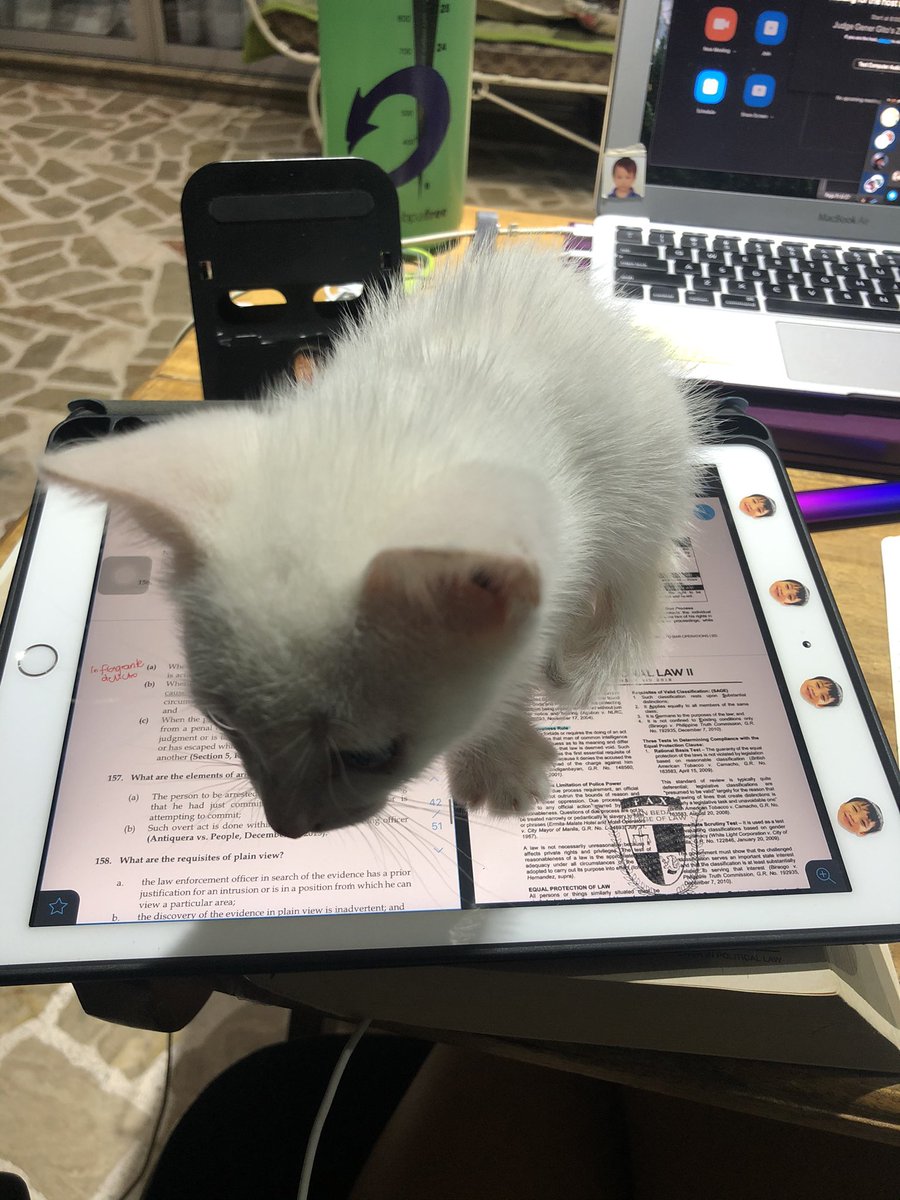 MamuGiiirl's tweet photo. Was trying to “study” for tonight’s class. Pano na ba ‘to? Is this a sign from the universe??? #holidayclass https://t.co/NLSmLutyrx