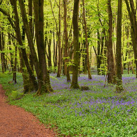 I really recommend Aidan White’s Living Earth Photography. He is based in Wicklow town & takes superb photographic images of Ireland, from dramatic coastlines to stunning lakes & mountains, that can be purchased on his site:  https://livingearthphotography.ie/shop/&nbsp; . @LivEarthPhoto