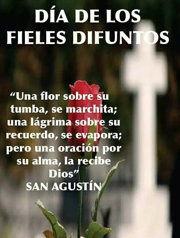 Leonardogabriel (@leitopoleo76) on Twitter photo 